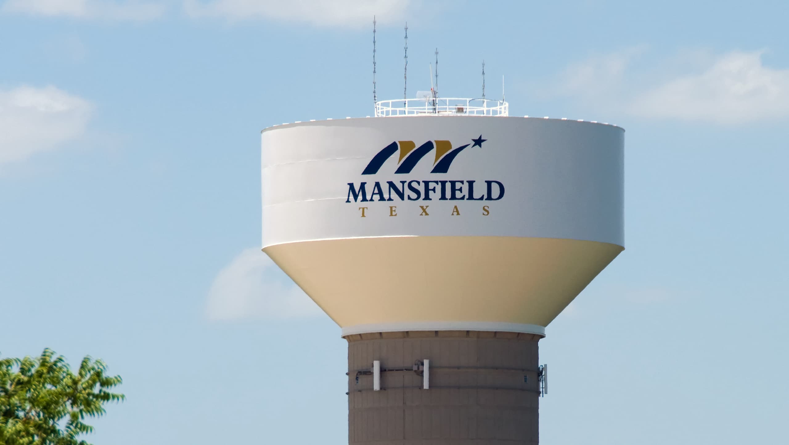 Homeowner Associations artificial turf in Houston