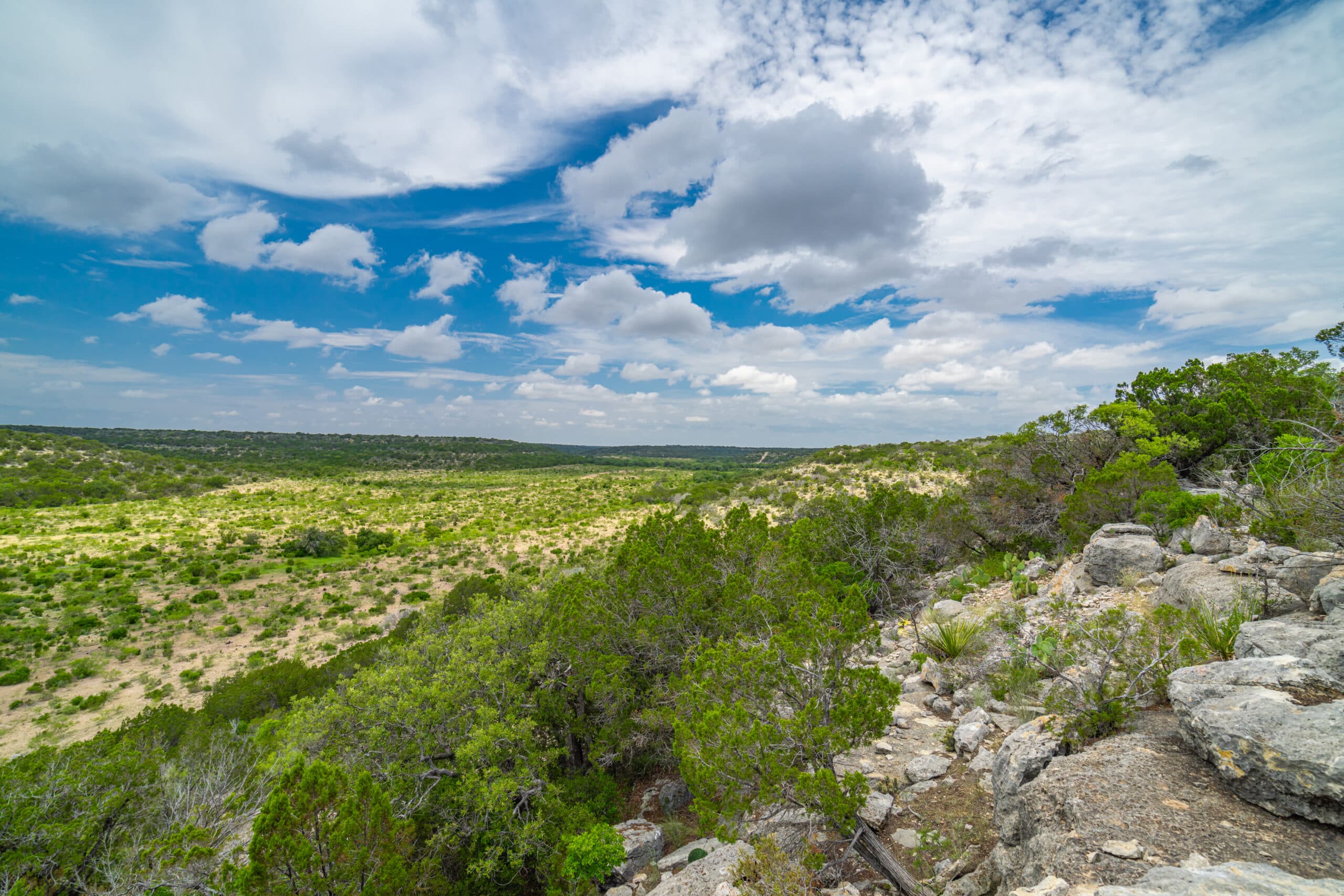 Artificial turf installation in Montgomery, TX
